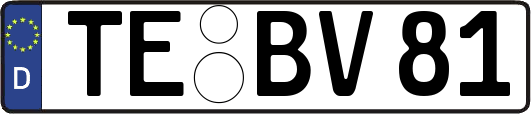 TE-BV81