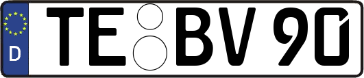 TE-BV90