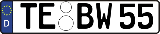 TE-BW55