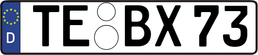 TE-BX73