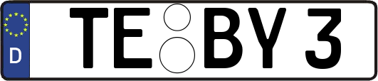 TE-BY3