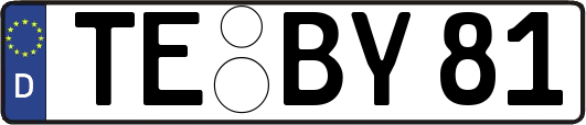 TE-BY81