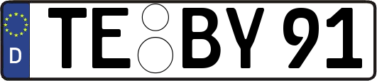 TE-BY91
