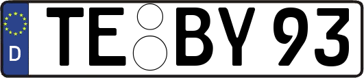 TE-BY93