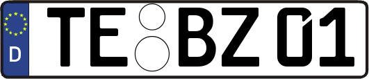 TE-BZ01