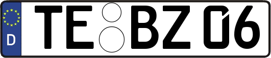 TE-BZ06