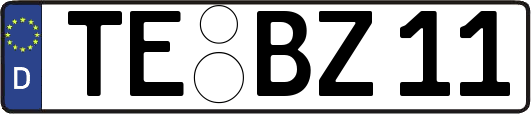 TE-BZ11