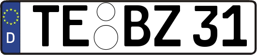 TE-BZ31