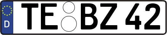 TE-BZ42