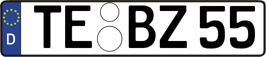 TE-BZ55