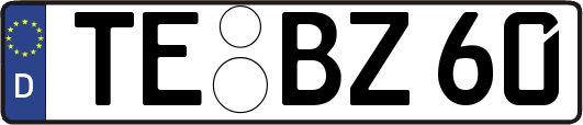 TE-BZ60