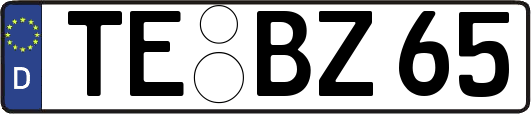 TE-BZ65