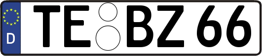 TE-BZ66