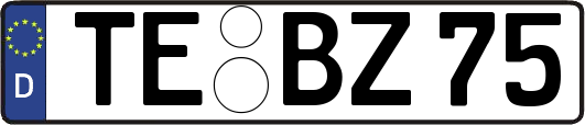 TE-BZ75