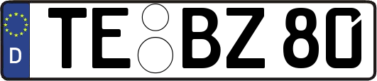 TE-BZ80