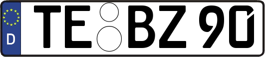 TE-BZ90
