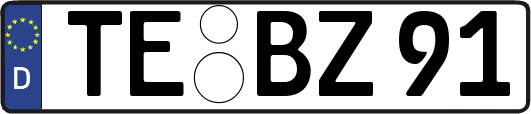 TE-BZ91