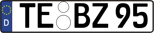 TE-BZ95
