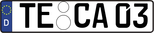 TE-CA03