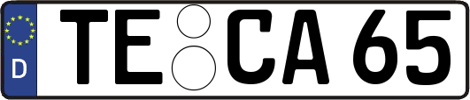 TE-CA65