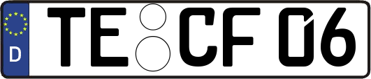TE-CF06