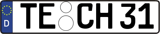 TE-CH31