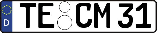 TE-CM31