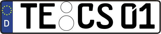 TE-CS01