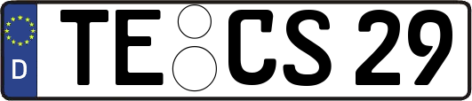 TE-CS29