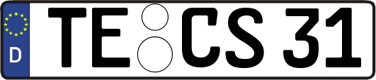 TE-CS31