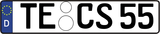 TE-CS55