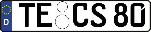TE-CS80