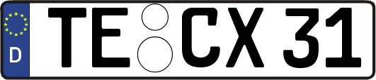 TE-CX31