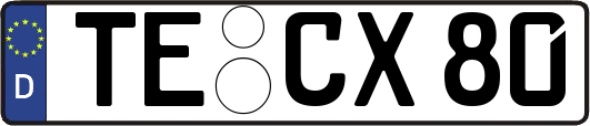 TE-CX80