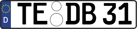 TE-DB31