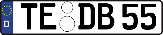 TE-DB55