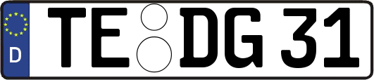 TE-DG31