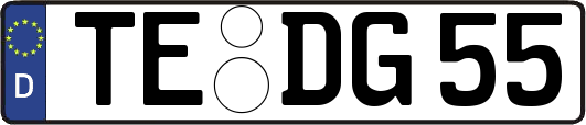 TE-DG55