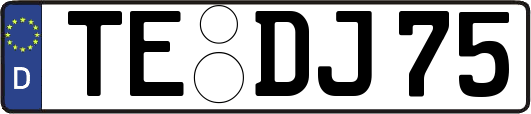 TE-DJ75