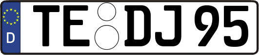 TE-DJ95