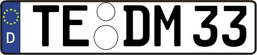 TE-DM33