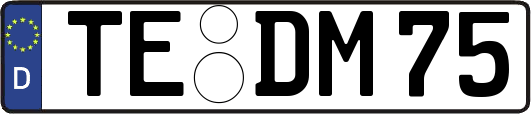 TE-DM75