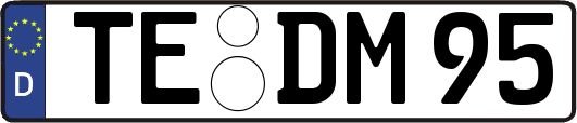 TE-DM95
