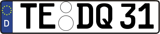 TE-DQ31