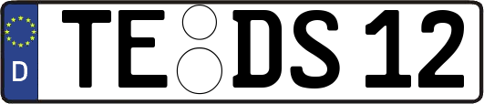TE-DS12