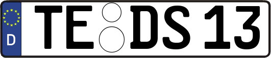 TE-DS13