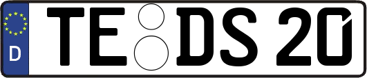 TE-DS20