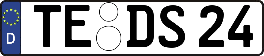 TE-DS24