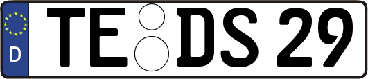 TE-DS29