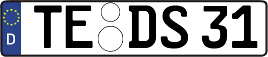 TE-DS31